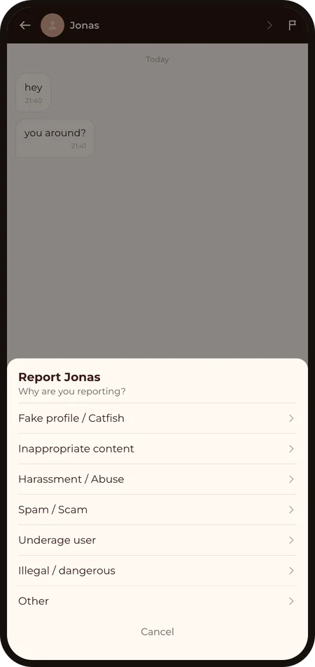 Report sheet: Why are you reporting? with seven reasons